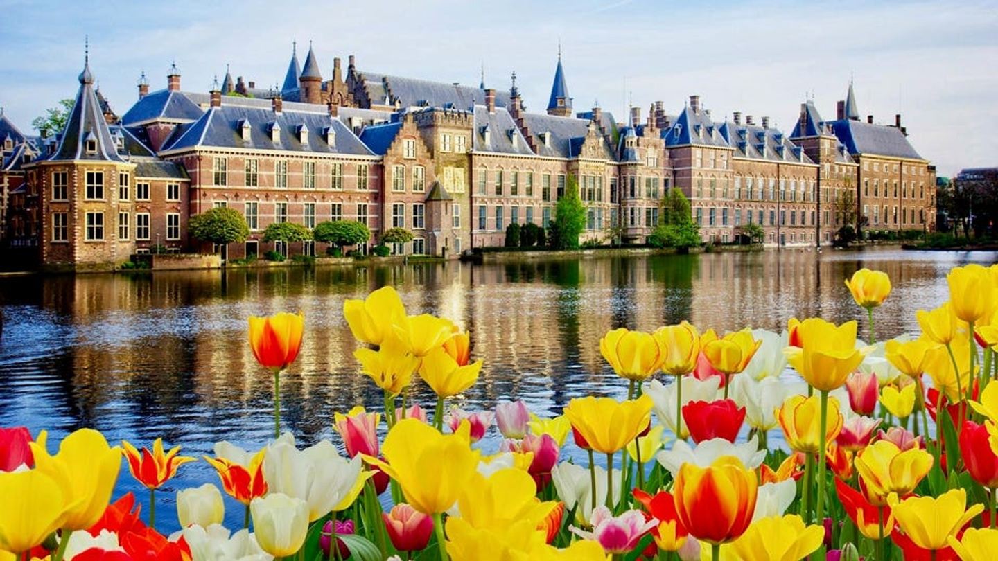 photo of The Hague in Holland with yellow and red tulips in the foreground